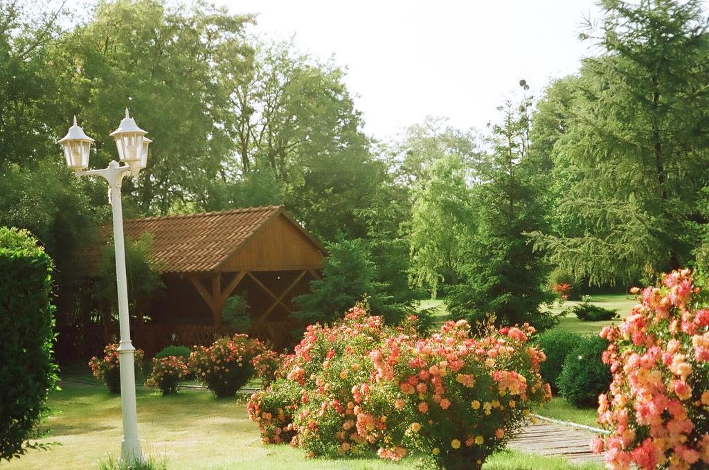 Villa Hedi Дунакилити Экстерьер фото