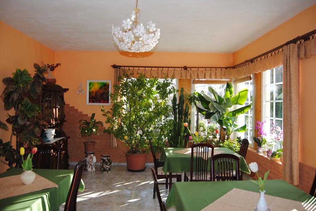 Villa Hedi Дунакилити Экстерьер фото