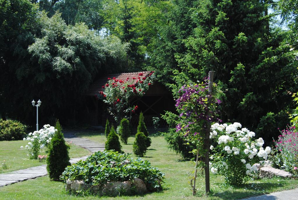 Villa Hedi Дунакилити Экстерьер фото