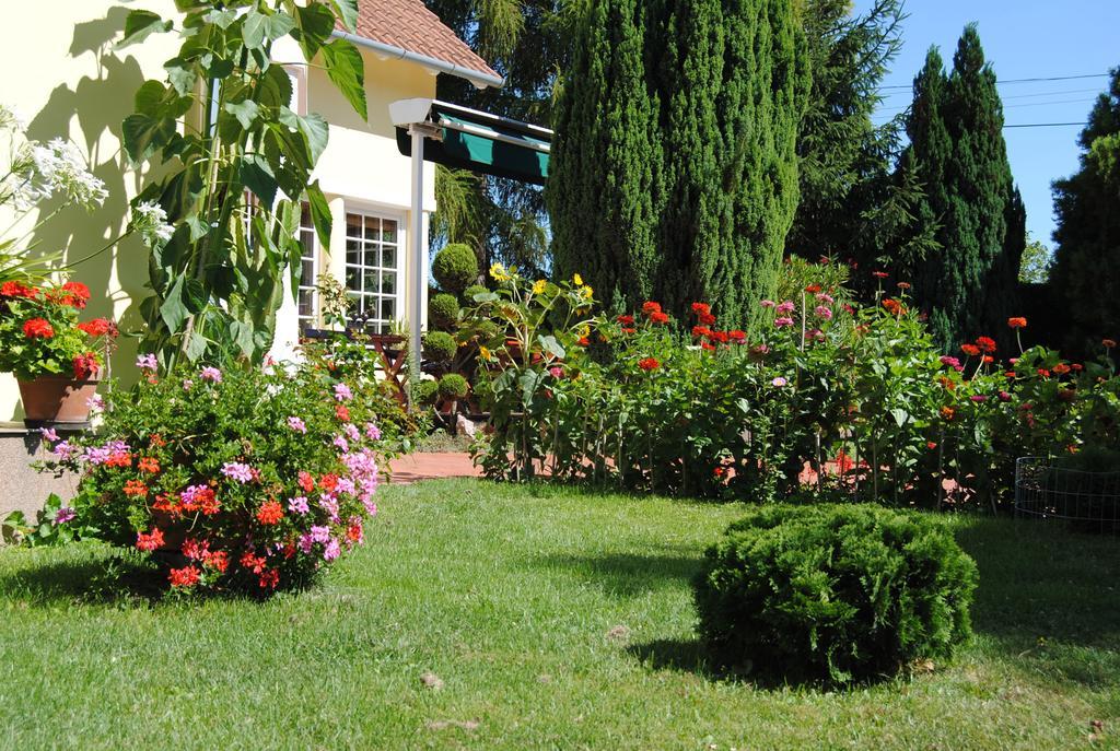 Villa Hedi Дунакилити Экстерьер фото