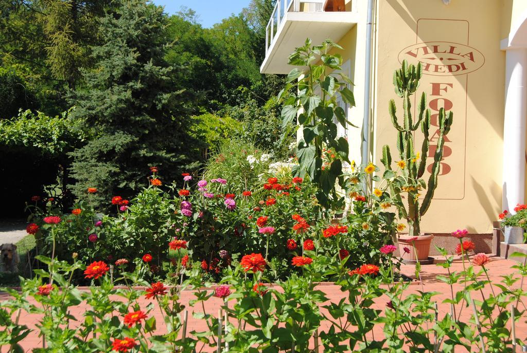 Villa Hedi Дунакилити Экстерьер фото