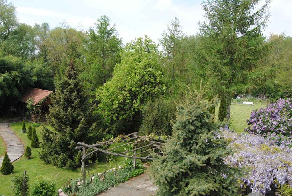 Villa Hedi Дунакилити Экстерьер фото